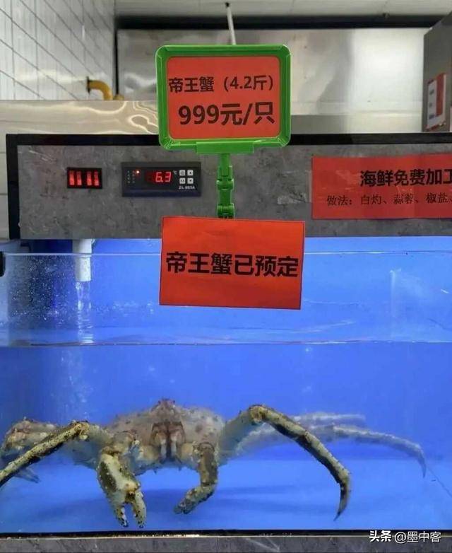 轻人！烘焙内卷：蛋挞是底座智商税是浇头pg电子试玩入口48元的玉米蛋挞收割年(图4)